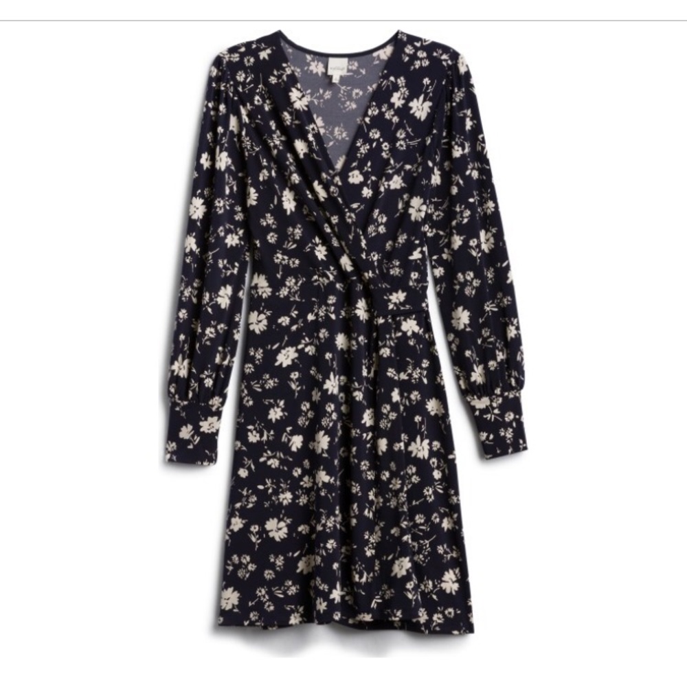 Kayleigh faux wrap Annabel stitch fix dress